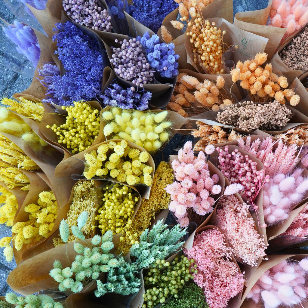 Getrocknete Blumen Mono-Mix – Flieder