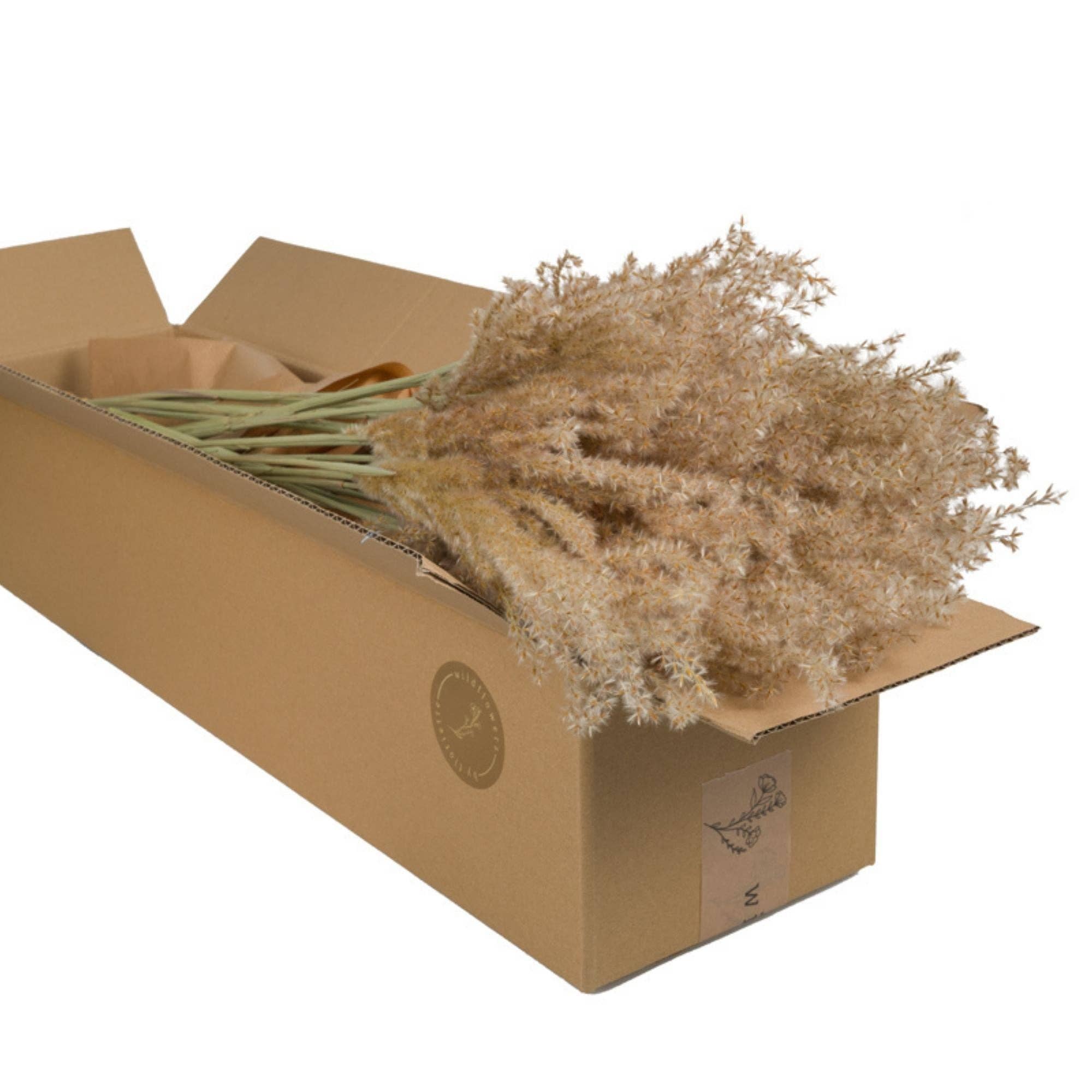 Getrocknete Miscanthus-Blumen, natürlich, 5 Stück