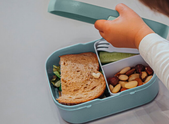 Brotdose Campus - Frozen