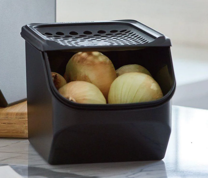 Zwiebellager