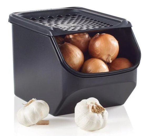 Zwiebellager