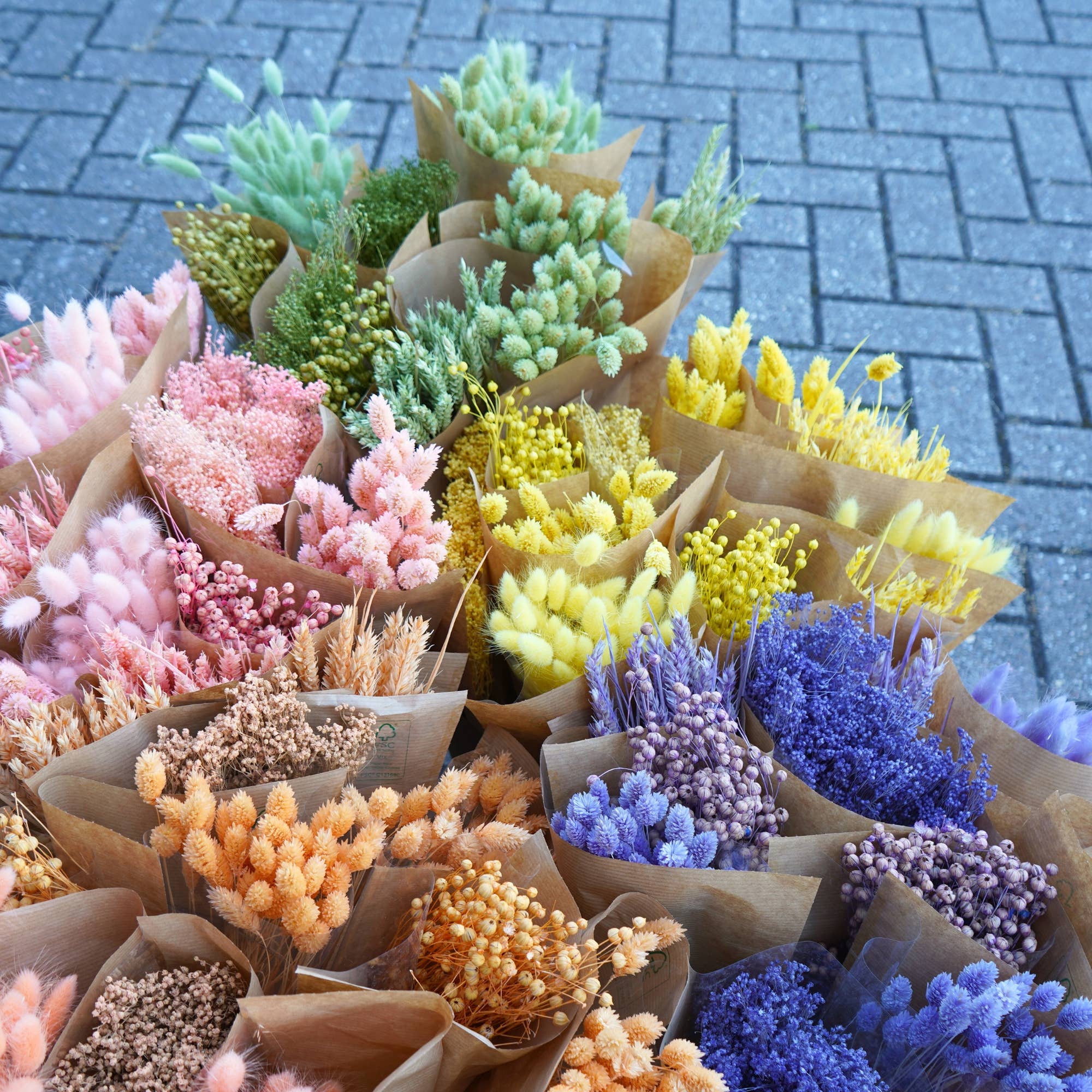 Getrocknete Blumen Mono-Mix – Flieder